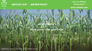 سم علف کش بسیار مؤثر مزارع ذرت علوفه ای و دانه ای مایستر | MaisTer WG