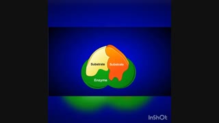آراز شیمی گستر مرکز فروش آنزیم های آزمایشگاهی