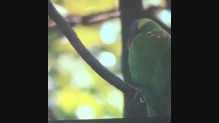 ویدئو پروژکتور استوک اپسون مدل Epson 96w