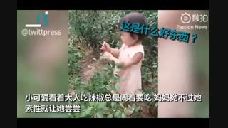 ویدئوی وایرال شده از واکنش دختر بچه چینی به خوردن فلفل برای اولین بار