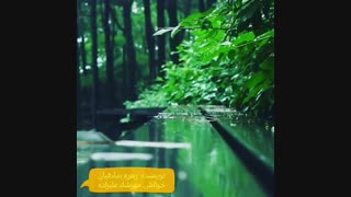 کلیپ دکلمه عاشقانه(نویسنده: زهره صادقیان ، خوانش: مهرشاد علیزاده)