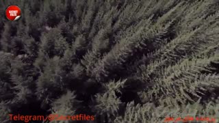 ۵ ویدیوی ترسناک از حوادثی که در جنگل ضبط شدند! (مستند کوتاه ترسناک) توضیحات+کپشن