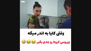 کرونا به سیب ممنوعه هم رسید