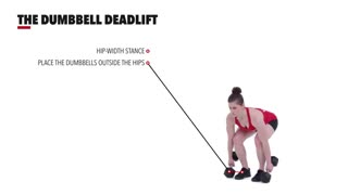 حرکت ددلیفت دمبل The Dumbbell Deadlift
