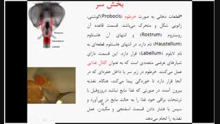 جلسه سوم. آز