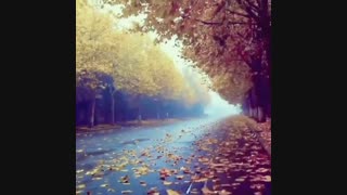 کلیپ دکلمه ی عاشقانه پائیز از مهرشاد علیزاده