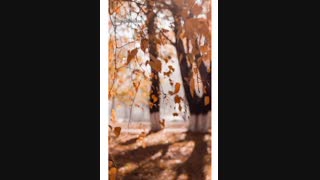 فنگ شویی فصل پاییز و برطرف کردن کسالت و حساسیت