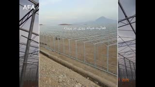 روند راه‌اندازی بزرگترین مجموعه گلخانه‌ای ایران