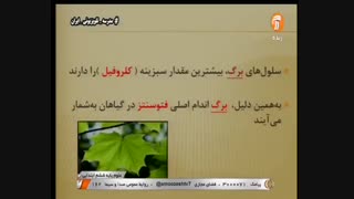 علوم تجربی ششم ابتدایی_فصل یازدهم