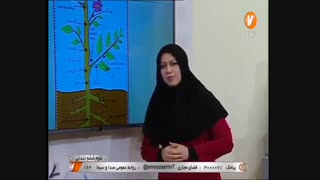علوم تجربی ششم ابتدایی_گلها و گیاهان آپارتمانی