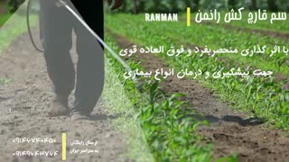 سم رانمن | Ranman بهترین سم ضد قارچ گوجه فرنگی