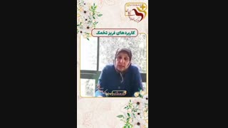 کاربرد های فریز تخمک