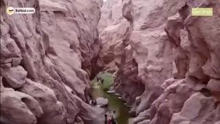 کال جنی | سفر به دل رمز و رازها