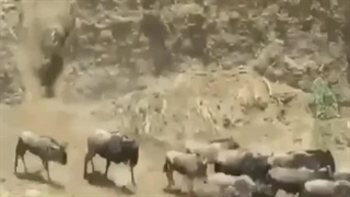 خاطرات زنگ تفریح