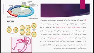 جلسه ششم. آز