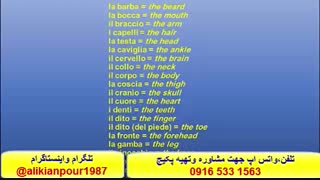 سریعترین روش آموزش لغات ، گرامر ومکالمه زبان ایتالیایی