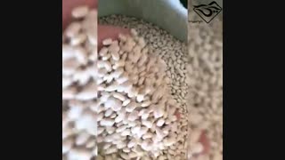 فروش لوبیا سفید خمین