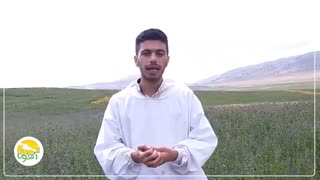 معرفی عسل یونجه