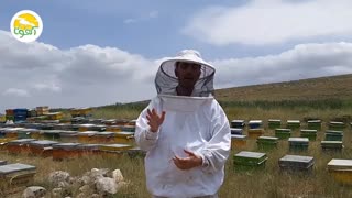 دمای نگهداری عسل طبیعی