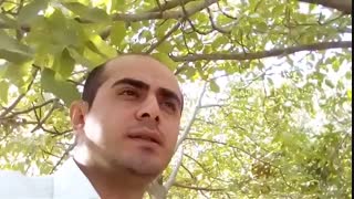 دکلمه عاشقانه شعر «ساربانا چه خبر» از مهرشاد علیزاده