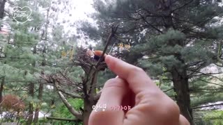 قسمت دهم برنامه خاطرات بلک پینک (Blackpink Diary) با زیرنویس فارسی آنلاین