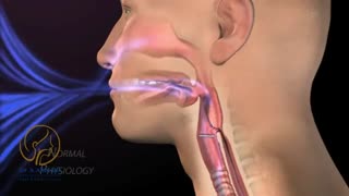 آناتومی حنجره