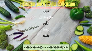 پیشگیری 100% از بیماری های قارچی درختان میوه با سولفور | SULFUR