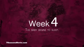 رشد جنین در 10 هفته اول