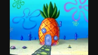 باب اسفنجی جدید