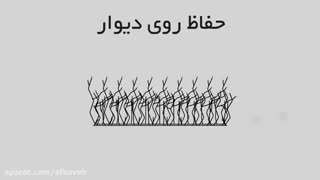 معرفی انواع حفاظ روی دیوار