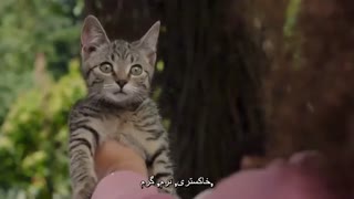 فیلم جادوی وارونه  Upside-Down Magic 2020