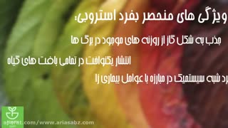 قارچ کش استروبی| stroby قوی ترین سم ضد قارچ سیب