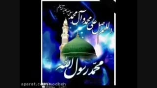 شب شهادت رسول اللّه (ص) چه گذشت؟