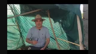 دکترعلی شاه حسینی _ کسب و  کار _ اقتدار