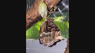 وصف این زیبائی خیلی سخته