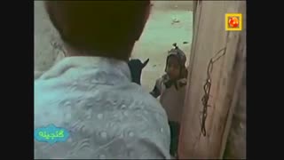 راه دور دریا