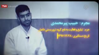 مستند گنجشک‌های رنگ شده -  اسنادی از دروغگویی مدعیان حقوق بشر