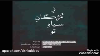 استاد شجریان، زمژگان سیاه تو