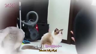 قسمت شانزدهم ریلیتی شو 24/365 از بلک پینک بازیرنویس چسبیده فارسی