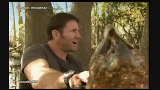 مرگ آفرینان 8 - Deadly 60