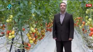 احداث مجتمع گلخانه ای هیدروپورنیک با تکنولوژی روز