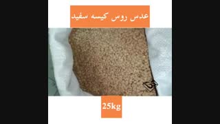 فروش عدس روس