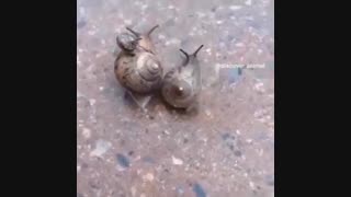 چندتا میکس خوجگل و عاااالی بهتون معرفی کنم از lee 1987