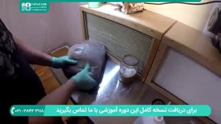 روش صحیح پرورش قارچ دکمه ای و خوراکی به صورت تخصصی