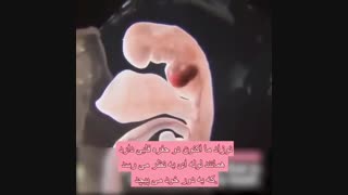هفته ششم بارداری