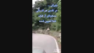 * تولدم مبارک *