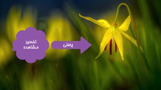 قسمت دوم فصل اول علوم