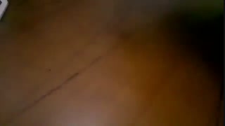 آموزش سیاه قلم ( طراحی اسب) قسمت آخر