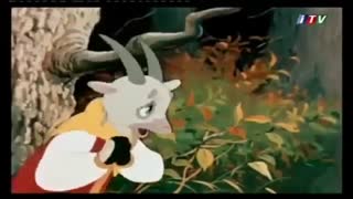 شنگولوم، شونگولوم، منگولوم