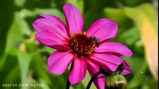 رد بزنید !متشکرم.